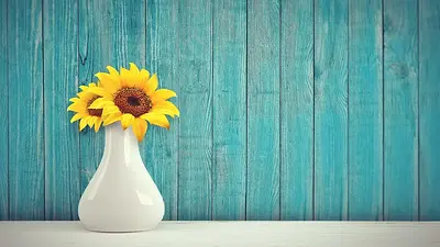 Aranżacja wnętrz: Inspiracje, porady i nowoczesne style